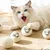 FurryFusion Balle de laine silencieuse pour chats et chiens