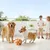 Pawffee Ballon de football interactif pour chien