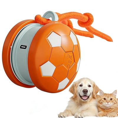 Pawffee Balle jouet interactive pour chat et chien - bleu