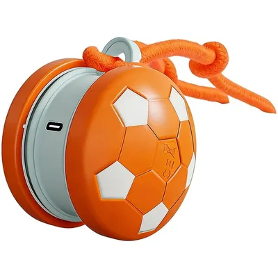 Pawffee Ballon de football interactif pour chien