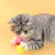 MCBOSON Lot de 12 peluches pour chat de 4,5 cm Jaune MCBOSON Lot de 12 peluches pour chat de 4,5 cm Jaune