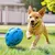 FurryFusion Anneau en caoutchouc pour chien anti-morsure