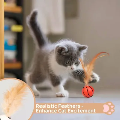 PetTribes Lot 3 Balles Élastiques Chat Intérieur Chasse