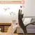 PetTribes Lot 3 Balles Élastiques Chat Intérieur Chasse