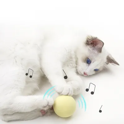 MCBOSON Lot de 3 jouets pour chat avec effets sonores MCBOSON Lot de 3 jouets pour chat avec effets sonores