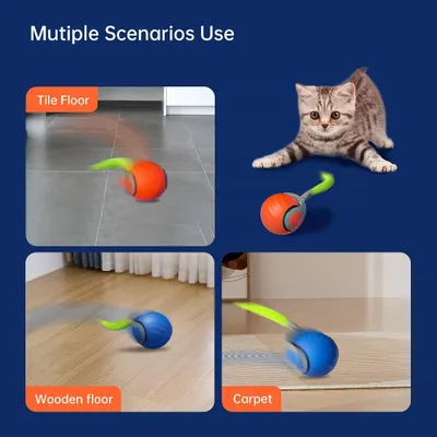 ZooVenture Balle Chat - 2 Modes, 2 Vitesses, USB Rechargeable