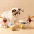 FurryFusion Jouet oursillon pour chat avec plumes et balles