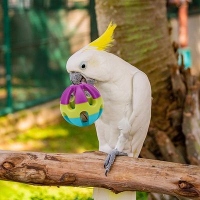 FurryFusion Balle en caoutchouc à motifs, jouet pour animaux de compagnie