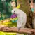 FurryFusion Balle en caoutchouc à motifs, jouet pour animaux de compagnie