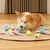 PetTribes Jouet à Mâcher Balles Texturées pour Chien