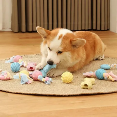 PetTribes Jouet à Mâcher Balles Texturées pour Chien
