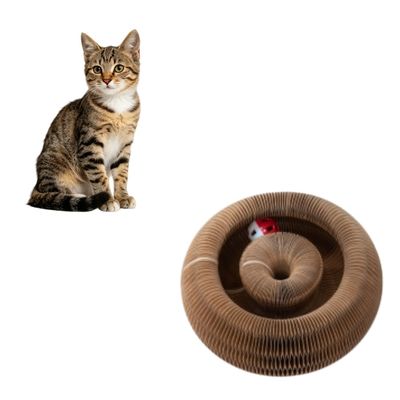 MCBOSON Magic organ déformable piste balle jouet interactif chat