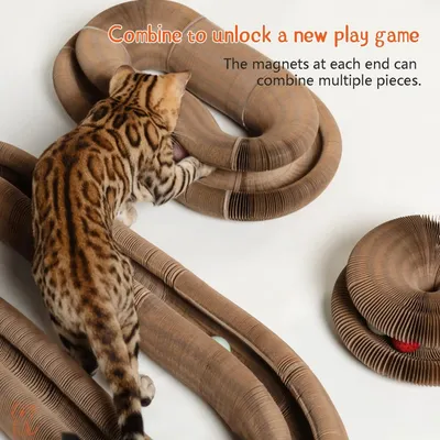 MCBOSON Magic organ déformable piste balle jouet interactif chat