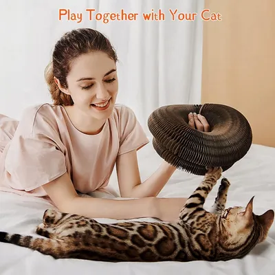 MCBOSON Magic organ déformable piste balle jouet interactif chat