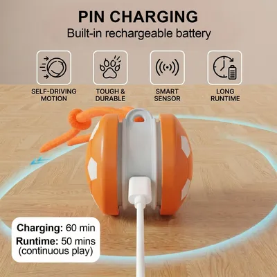 PetTribes Balle Interactive Rechargeable pour Chien
