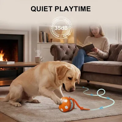 PetTribes Balle Interactive Rechargeable pour Chien
