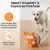 PetTribes Balle Interactive Rechargeable pour Chien