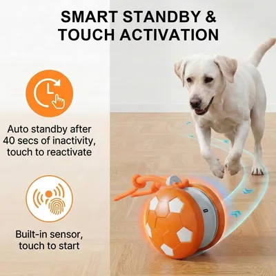 PetTribes Balle Interactive Rechargeable pour Chien