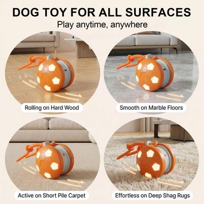 PetTribes Balle Interactive Rechargeable pour Chien