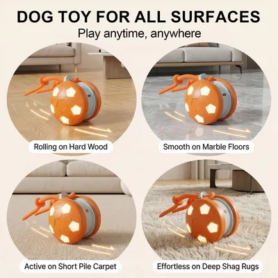 PetTribes Balle Interactive Rechargeable pour Chien
