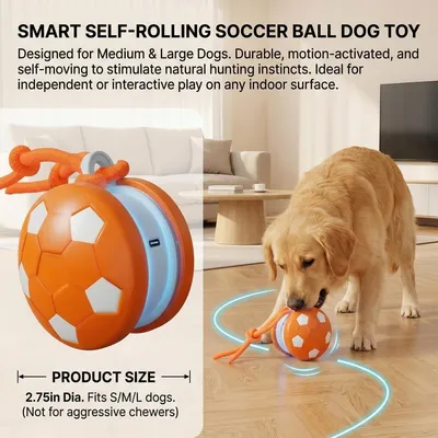 PetTribes Balle Interactive Rechargeable pour Chien