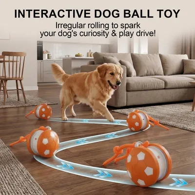 PetTribes Balle Interactive Rechargeable pour Chien