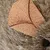 PetTribes Jouet Souris Interactive pour Chat (Lot de 2)