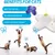PetTribes Jouet Chat Automatique Papillon : Rotation 360°, 2 Remplacements