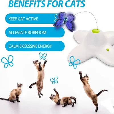 PetTribes Jouet Chat Automatique Papillon : Rotation 360°, 2 Remplacements