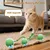 ZooVenture Balle Interactive Vert Chien Chat 3 Modes