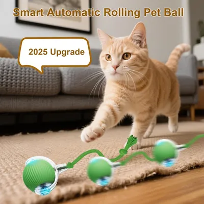 ZooVenture Balle Interactive Vert Chien Chat 3 Modes