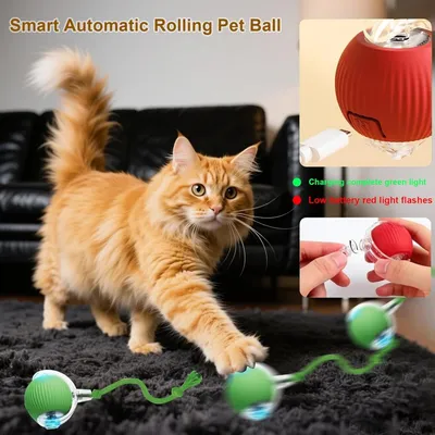 ZooVenture Balle Interactive Vert Chien Chat 3 Modes