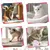 PetTribes 20 Boules Froissement Chat PVC Colorées Stimulation 5.1cm
