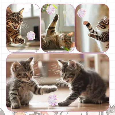PetTribes 20 Boules Froissement Chat PVC Colorées Stimulation 5.1cm