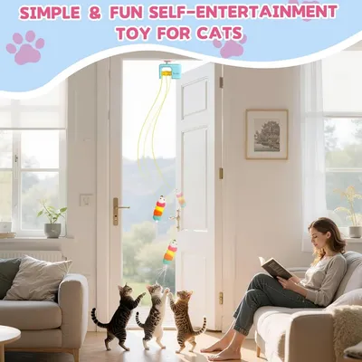 Zoomtopia Jouet interactif pour chat à fixer sur porte rechargeable