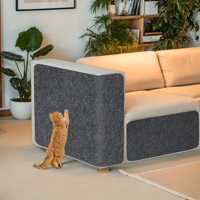 PetTribes Griffoir Autocollant Chat, Protecteur Meubles/Murs, Durable