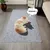 PetTribes Griffoir Autocollant Chat, Protecteur Meubles/Murs, Durable