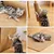 PetTribes Tapis Griffoir Chat Sisal Naturel