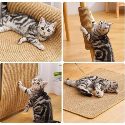 PetTribes Tapis Griffoir Chat Sisal Naturel
