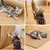 PetTribes Tapis Griffoirs Chat x2 : 50x25cm, Sisal Naturel, Protège Meubles