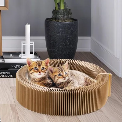 FurryFusion Griffeuse pour chat en forme d'accordéon