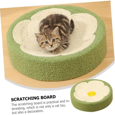 ZooVenture Griffoir Chat Sol Tapis Decoratif