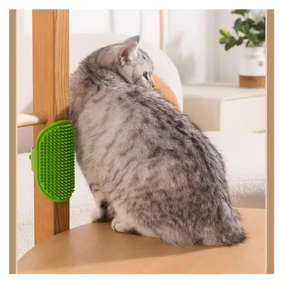PetTribes Brosse Chat Angle Massage TPR