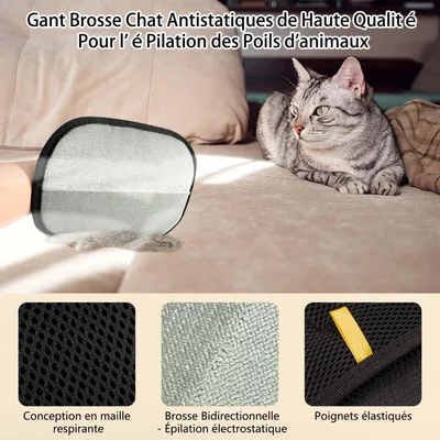 PetTribes Gants Double Face Anti-Poils - Brossage Nettoyage Soins Animaux PetTribes Gants Double Face Anti-Poils - Brossage Nettoyage Soins Animaux