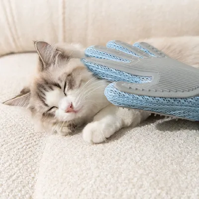 MCBOSON Katzen- und Hundepflegehandschuhe, 2 Stück MCBOSON Katzen- und Hundepflegehandschuhe, 2 Stück
