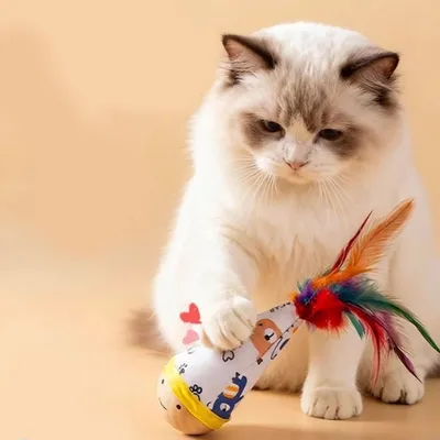 PetTribes Jouet Chat Bascule Hêtre Auto-Redressable