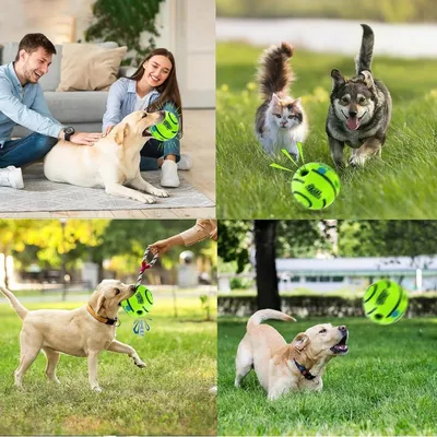 ZooVenture Balle Rire Chien - Vinyle, Petits/Moyens/Grands