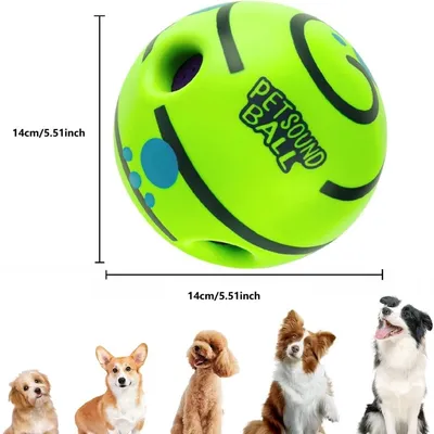 ZooVenture Balle Rire Chien - Vinyle, Petits/Moyens/Grands