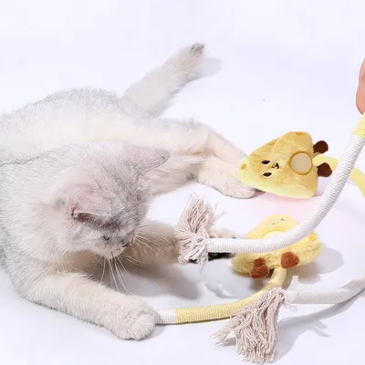 MCBOSON Jaune (Nettoyage Dentaire Naturel) Jouet Chat