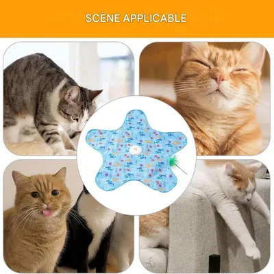 ZooVenture Jouet Chat Interactif - Silencieux, ABS, Griffure